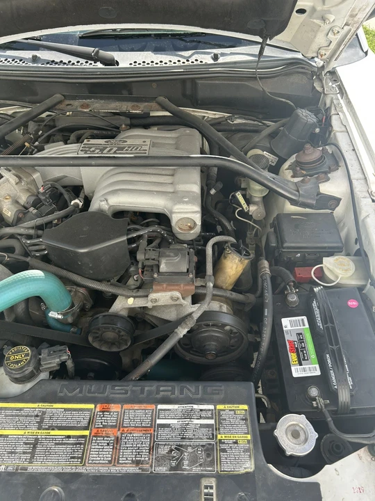 1995 Ford SN95 Mustang - Image 3 of 18