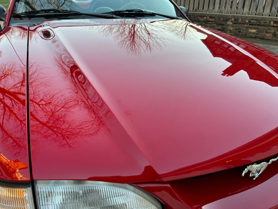 1995 Ford SN95 Mustang - Image 15 of 31