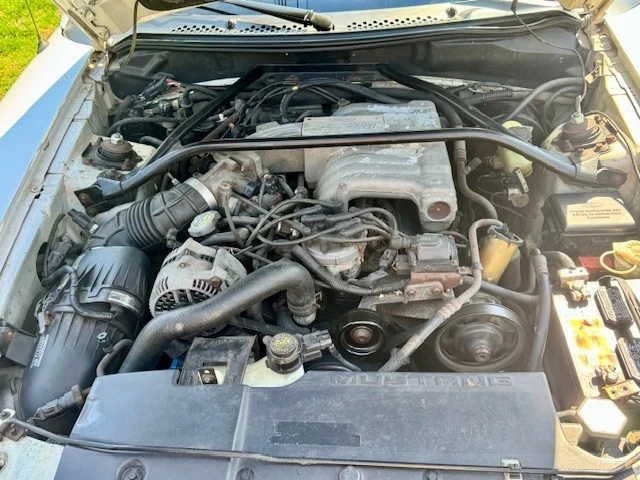 1995 Ford SN95 Mustang - Image 9 of 17