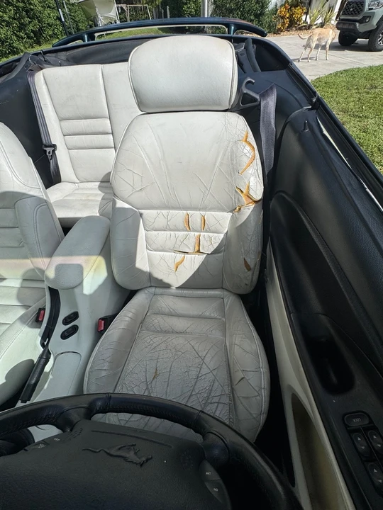 1995 Ford SN95 Mustang - Image 21 of 21