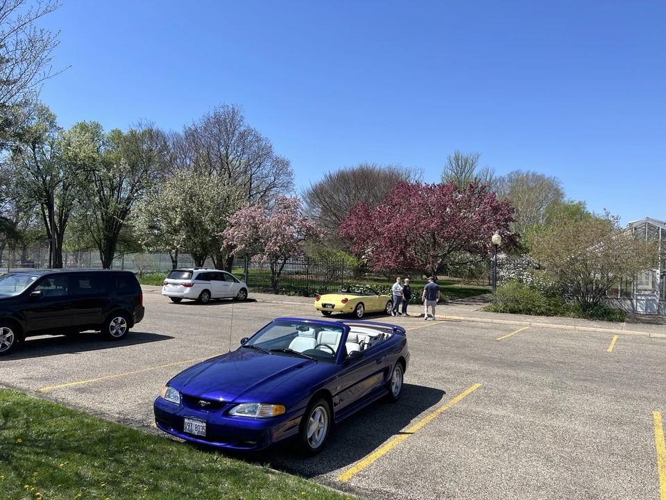 1995 Ford SN95 Mustang - Image 3 of 21