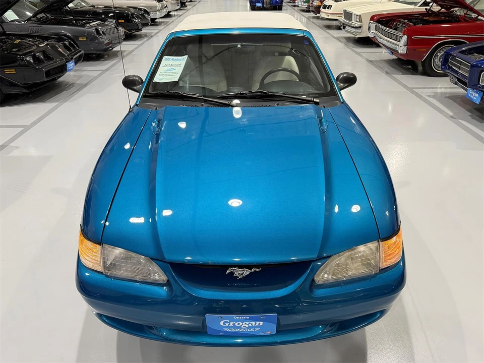 1995 Ford SN95 Mustang - Image 14 of 30