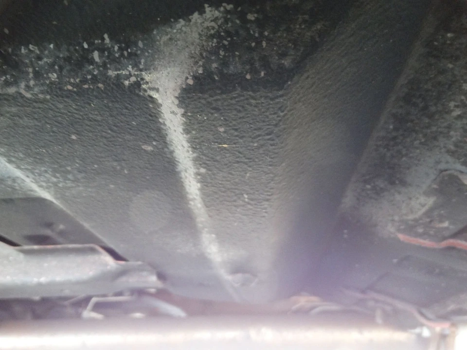 1995 Ford SN95 Mustang - Image 15 of 21