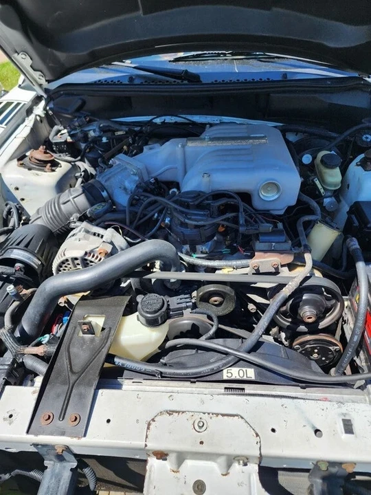 1995 Ford Replica - Image 11 of 11
