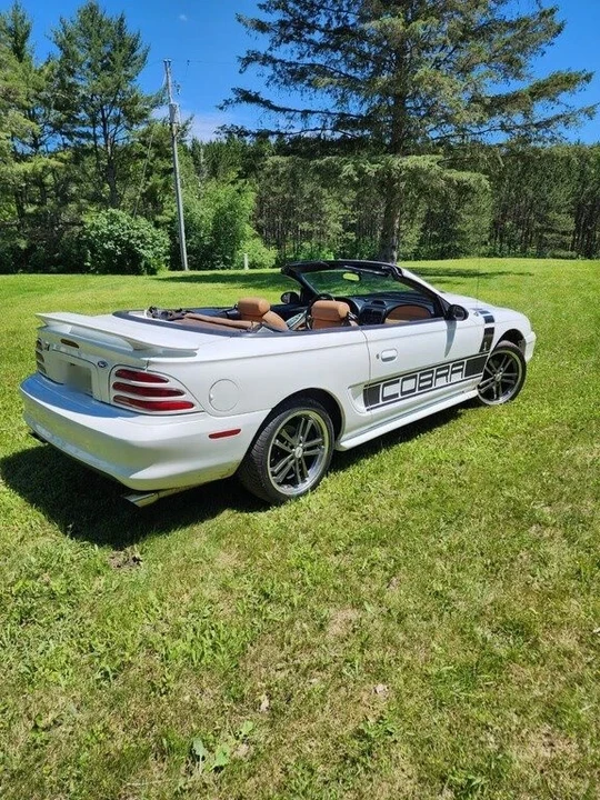 1995 Ford Replica - Image 3 of 11