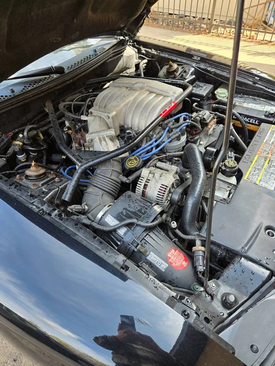 1995 Ford SN95 Mustang - Image 18 of 23