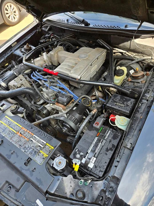 1995 Ford SN95 Mustang - Image 22 of 24