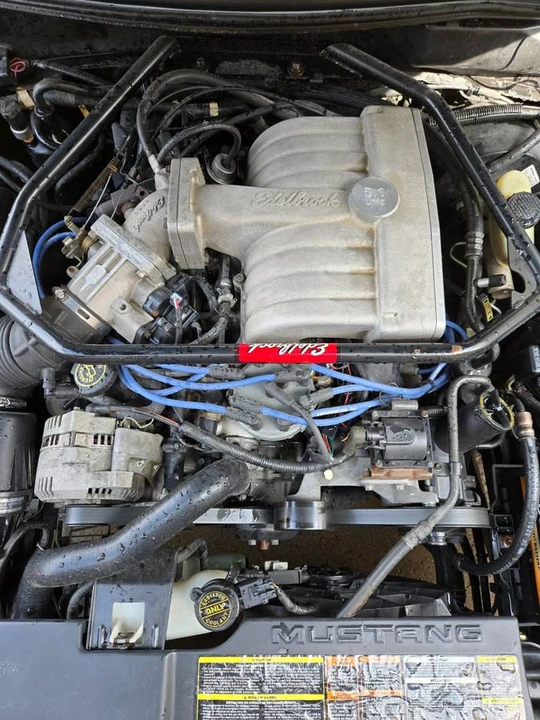 1995 Ford SN95 Mustang - Image 13 of 24