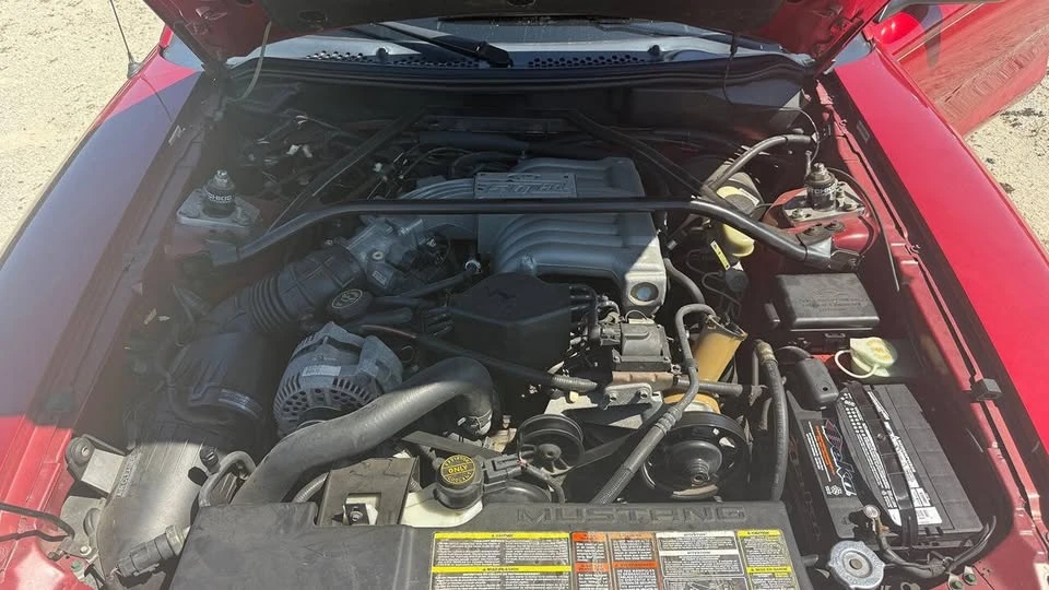1995 Ford SN95 Mustang - Image 11 of 15