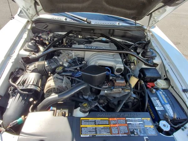 1995 Ford SN95 Mustang - Image 7 of 16