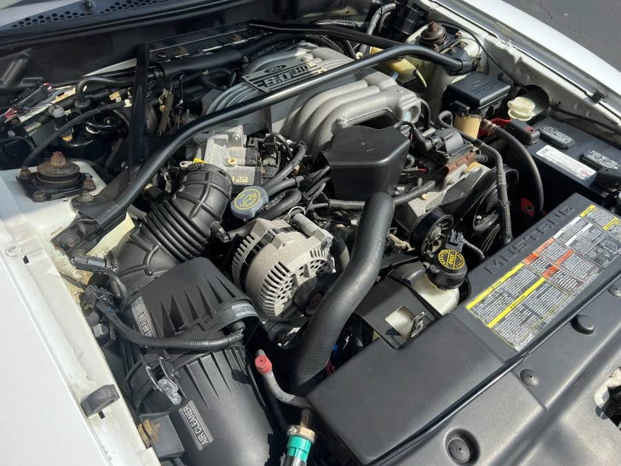 1995 Ford SN95 Mustang - Image 5 of 8