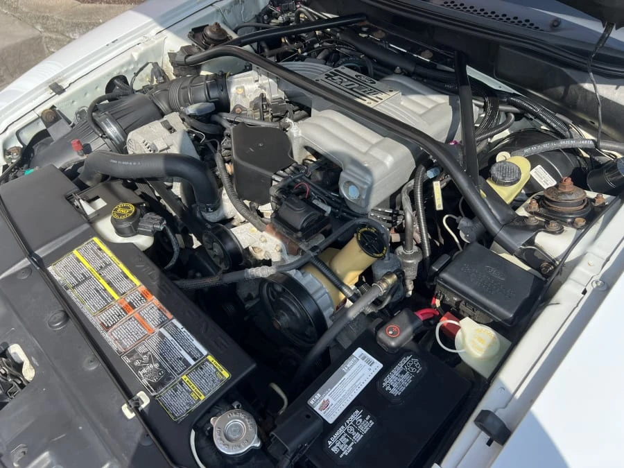 1995 Ford SN95 Mustang - Image 4 of 8
