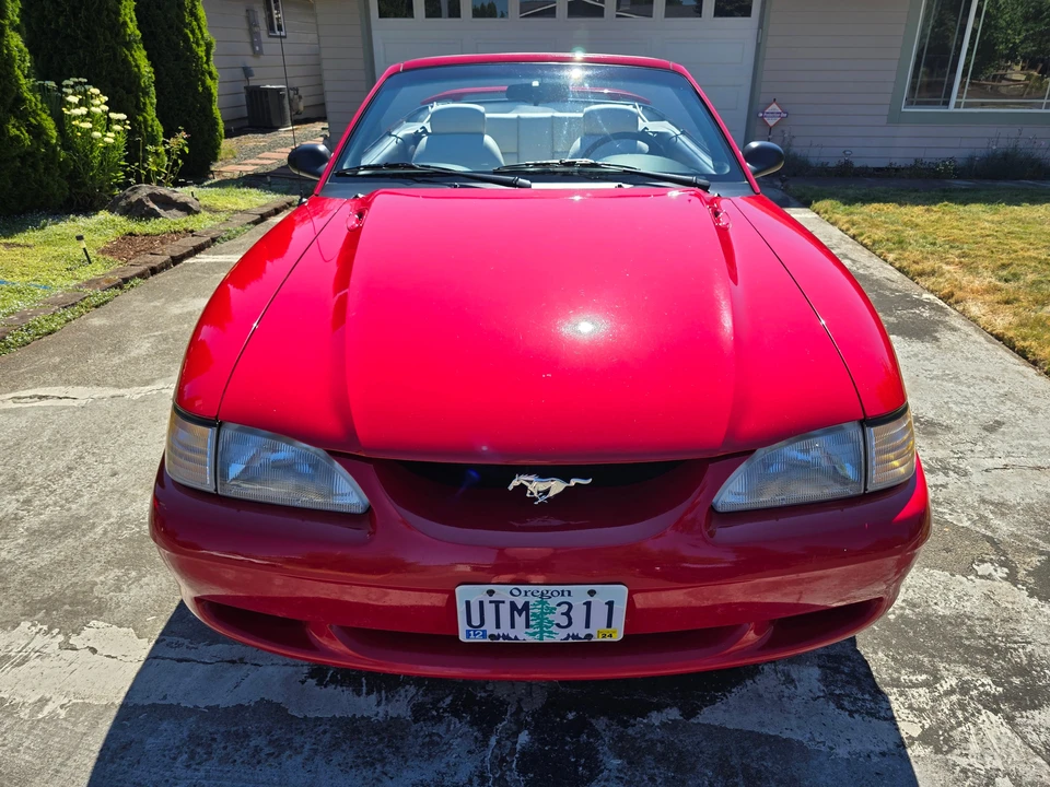 1995 Ford SN95 Mustang - Image 6 of 31