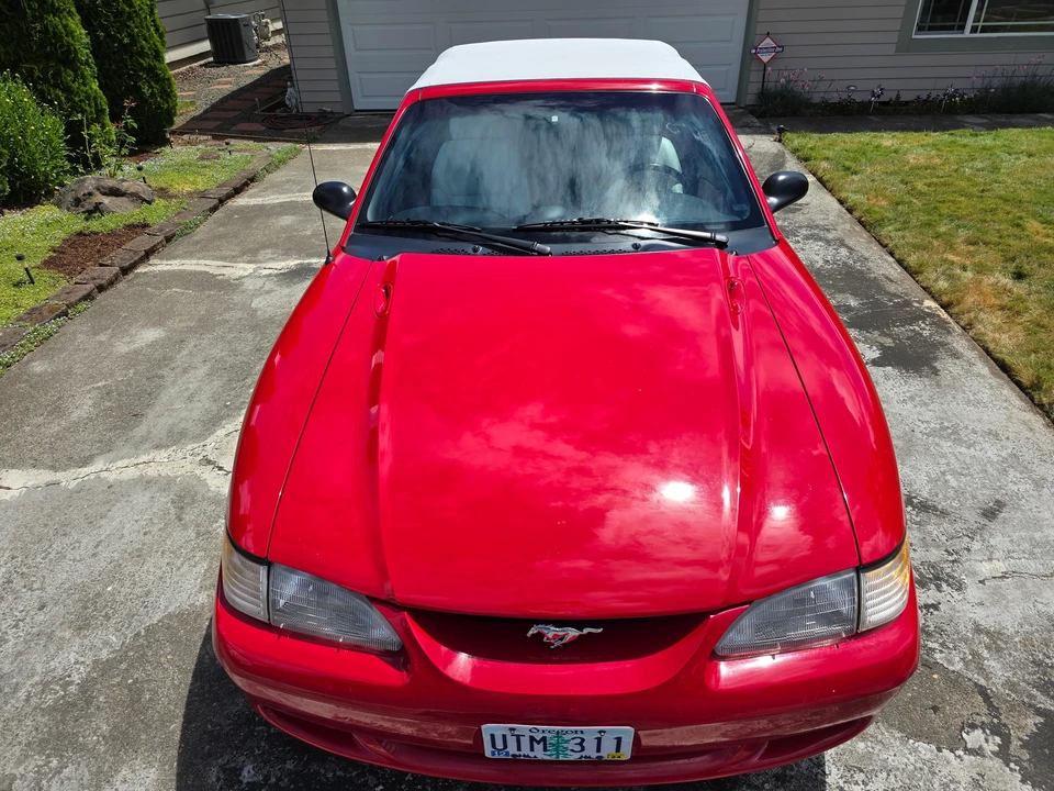 1995 Ford SN95 Mustang - Image 15 of 31