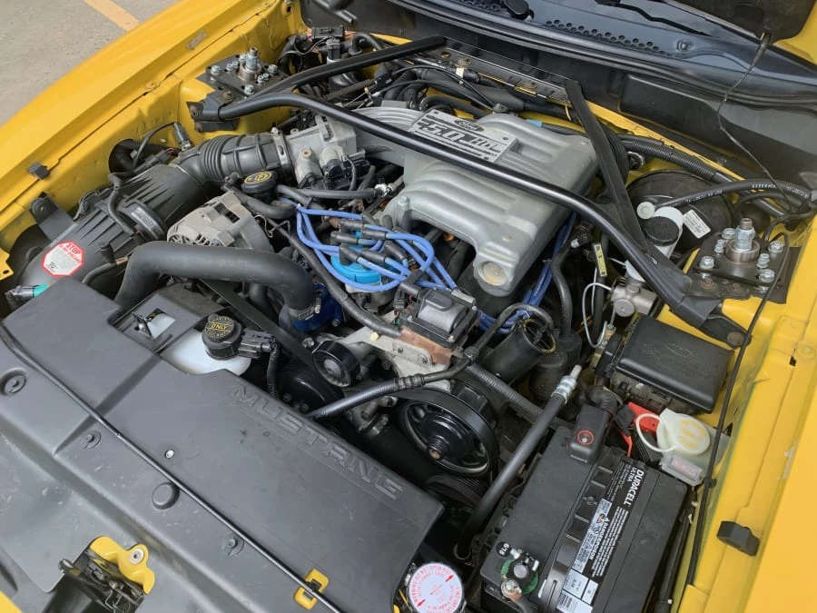 1995 Ford SN95 Mustang - Image 8 of 11