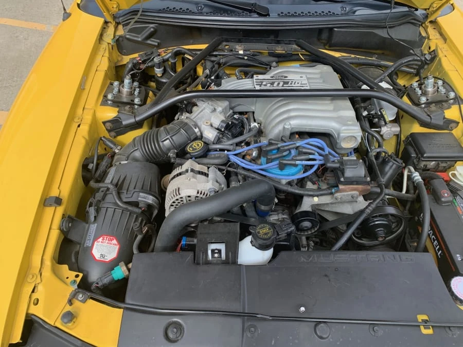 1995 Ford SN95 Mustang - Image 7 of 11