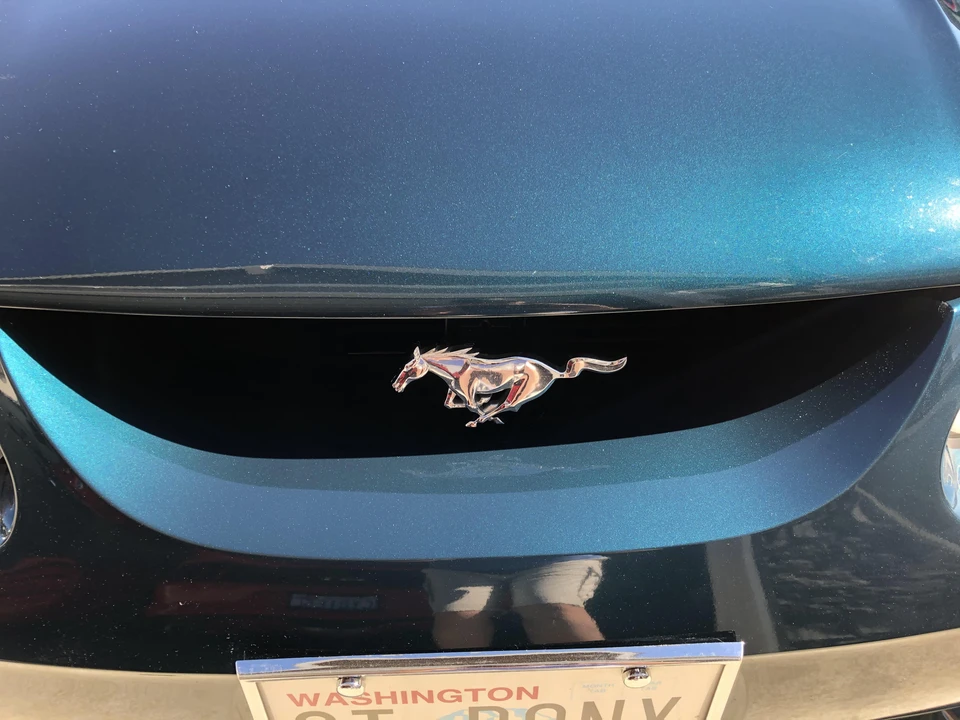 1995 Ford SN95 Mustang - Image 22 of 31