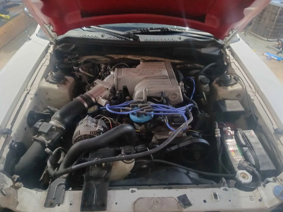 1995 Ford SN95 Mustang - Image 3 of 5