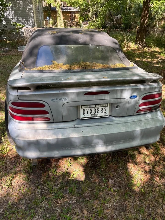 1995 Ford SN95 Mustang - Image 5 of 7