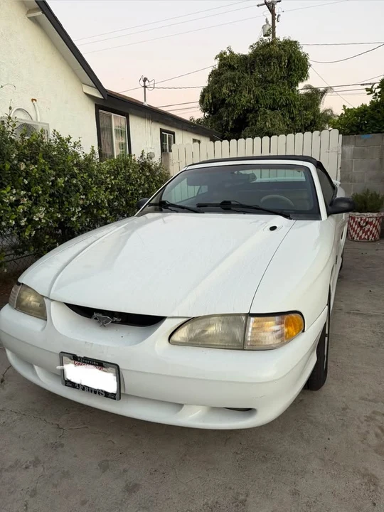 1995 Ford SN95 Mustang - Image 2 of 13