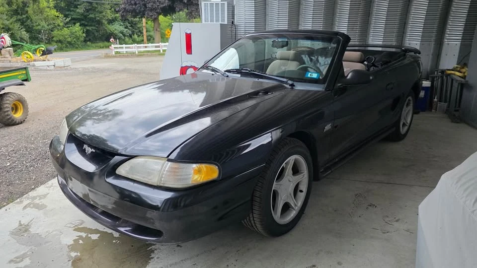 1995 Ford SN95 Mustang - Image 3 of 5
