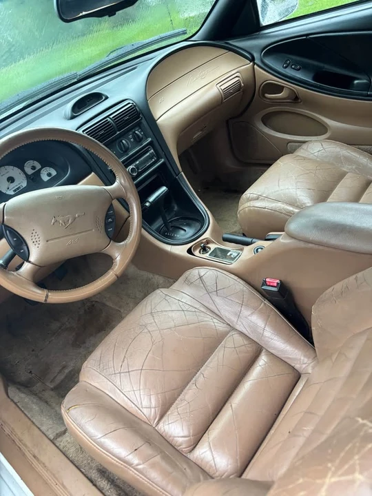 1995 Ford SN95 Mustang - Image 6 of 10