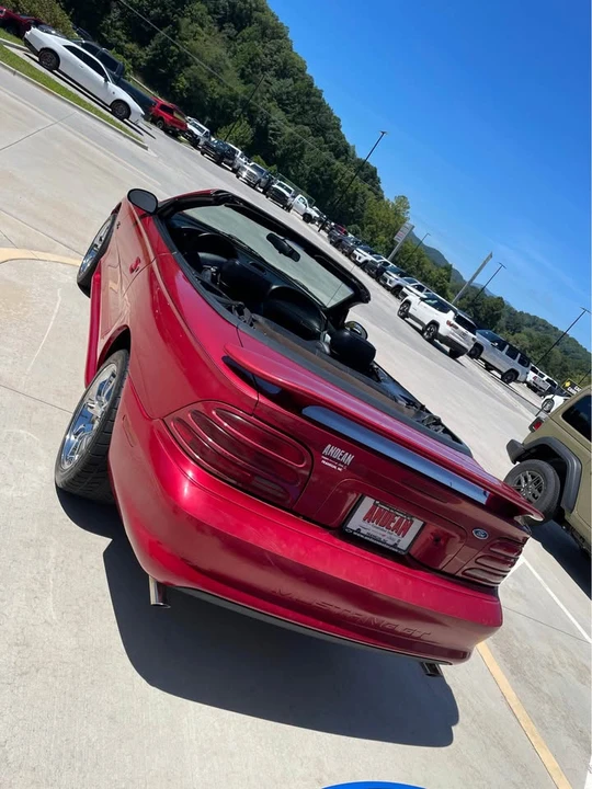 1995 Ford SN95 Mustang - Image 8 of 10