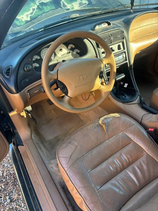 1995 Ford SN95 Mustang - Image 14 of 18