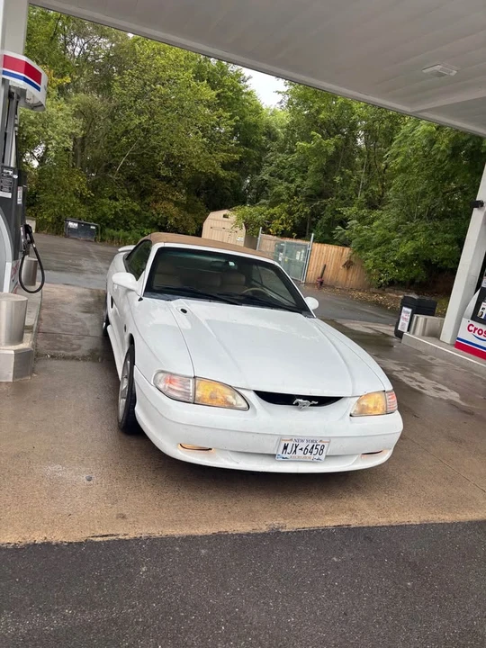 1995 Ford SN95 Mustang - Image 3 of 10