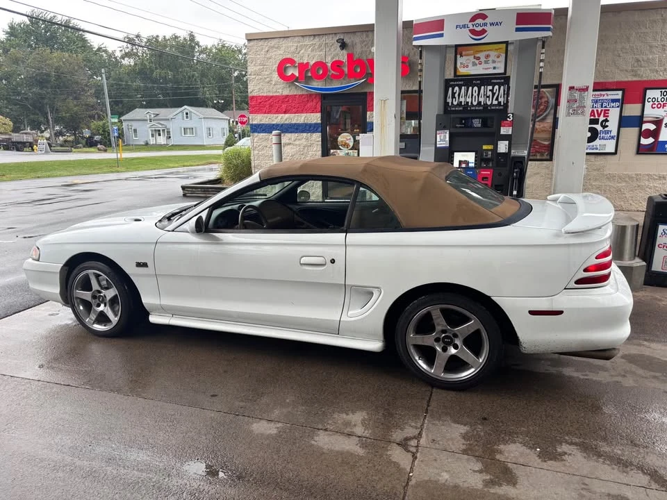 1995 Ford SN95 Mustang - Image 2 of 10