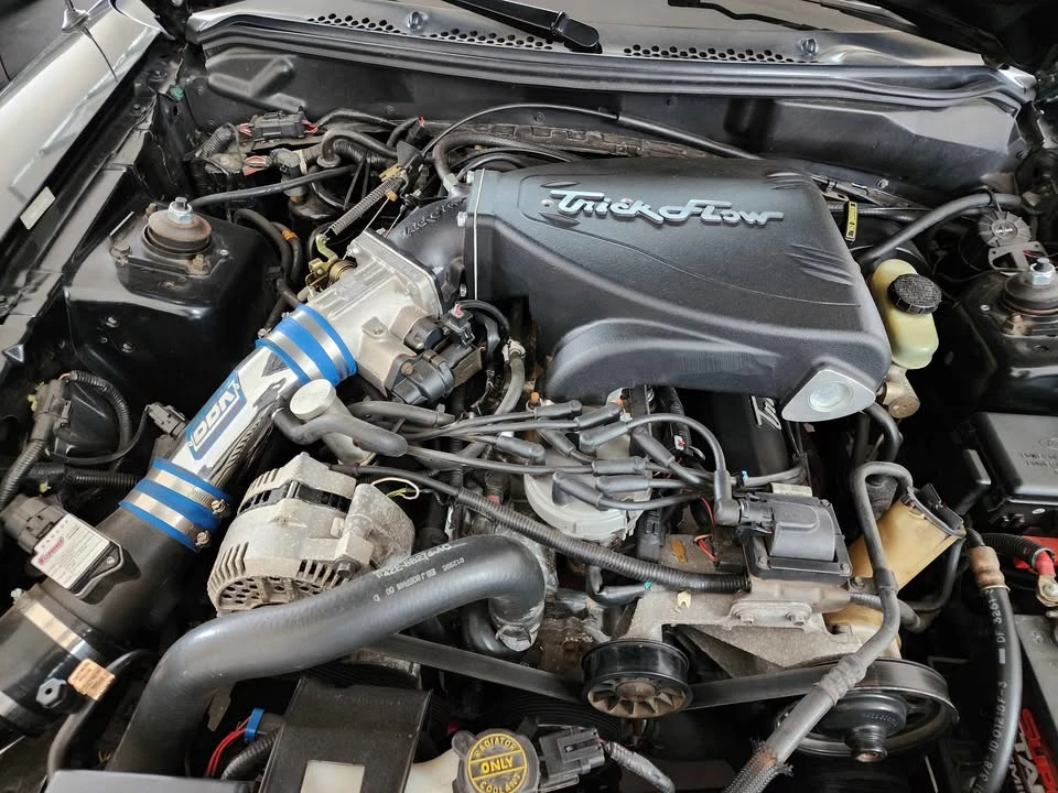 1995 Ford SN95 Mustang - Image 9 of 12