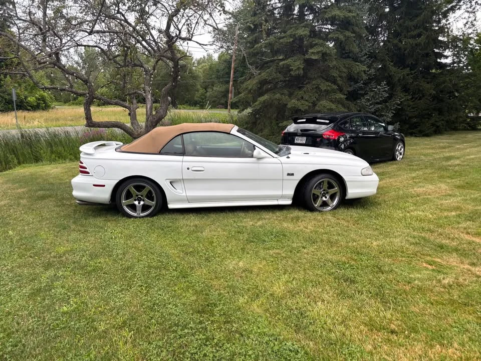 1995 Ford SN95 Mustang - Image 5 of 10