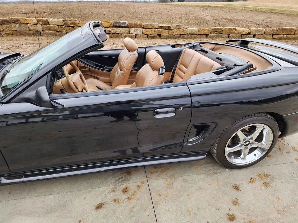1995 Ford SN95 Mustang - Image 6 of 12