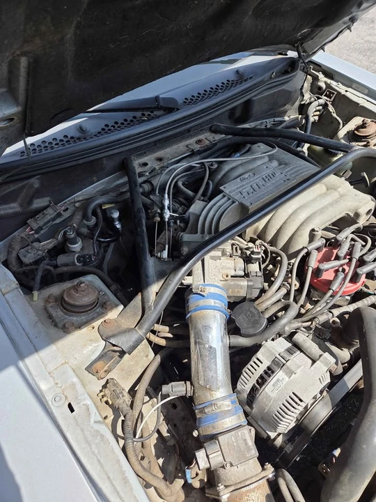 1995 Ford SN95 Mustang - Image 2 of 9