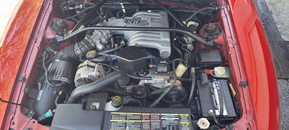 1995 Ford SN95 Mustang - Image 17 of 20