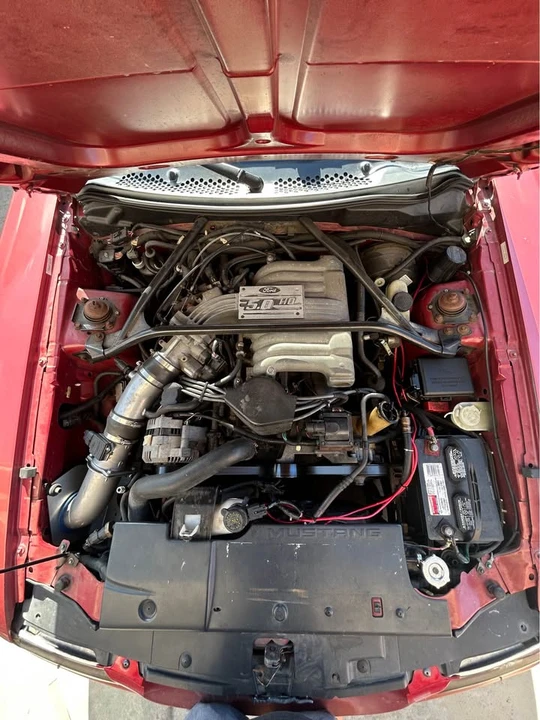 1995 Ford SN95 Mustang - Image 13 of 16