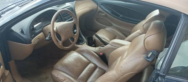 1995 Ford SN95 Mustang - Image 4 of 12