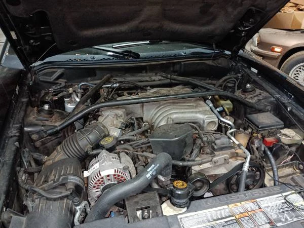 1995 Ford SN95 Mustang - Image 9 of 12