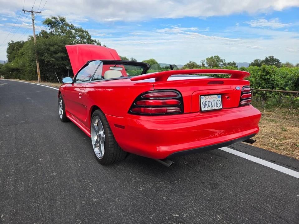1995 Ford SN95 Mustang - Image 15 of 24