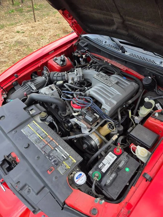 1995 Ford SN95 Mustang - Image 16 of 24