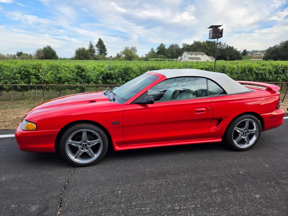 1995 Ford SN95 Mustang - Image 13 of 24