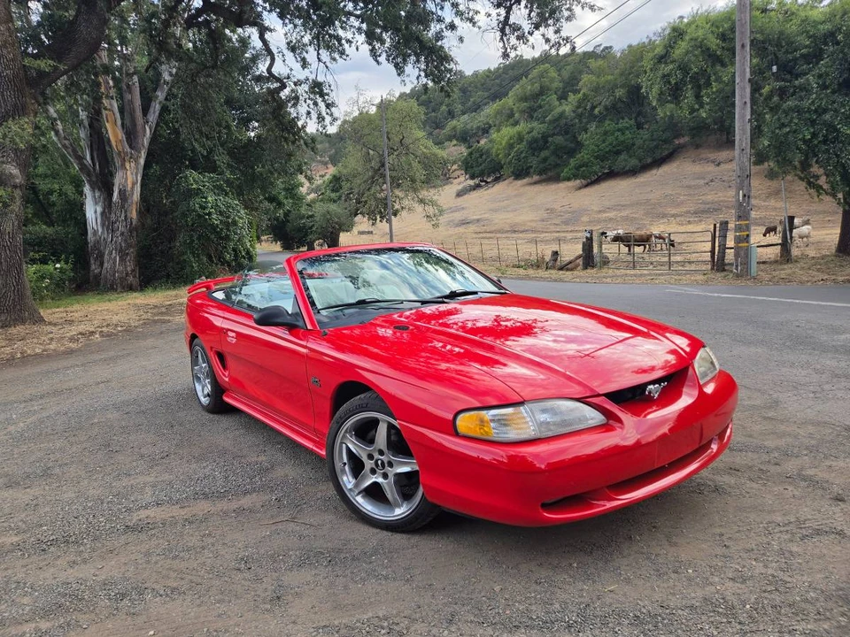 1995 Ford SN95 Mustang - Image 2 of 24