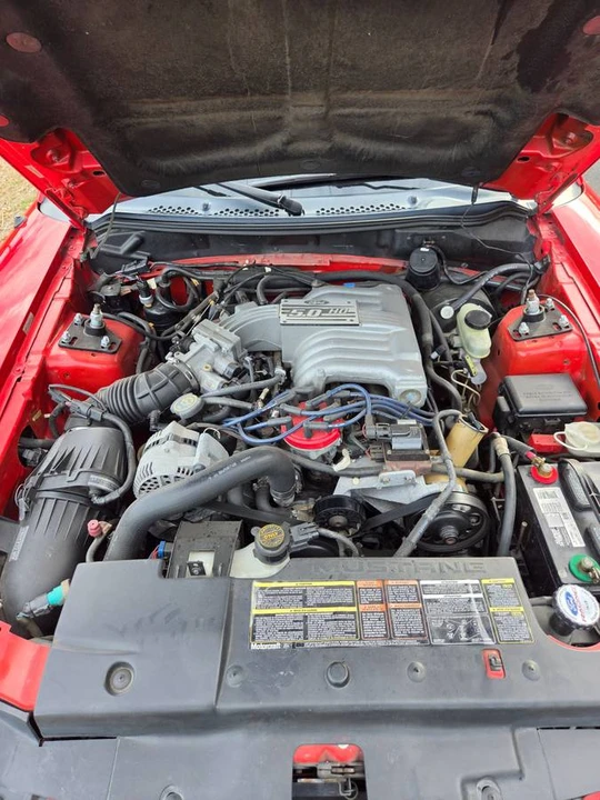 1995 Ford SN95 Mustang - Image 17 of 24