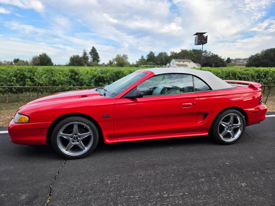 1995 Ford SN95 Mustang - Image 12 of 24