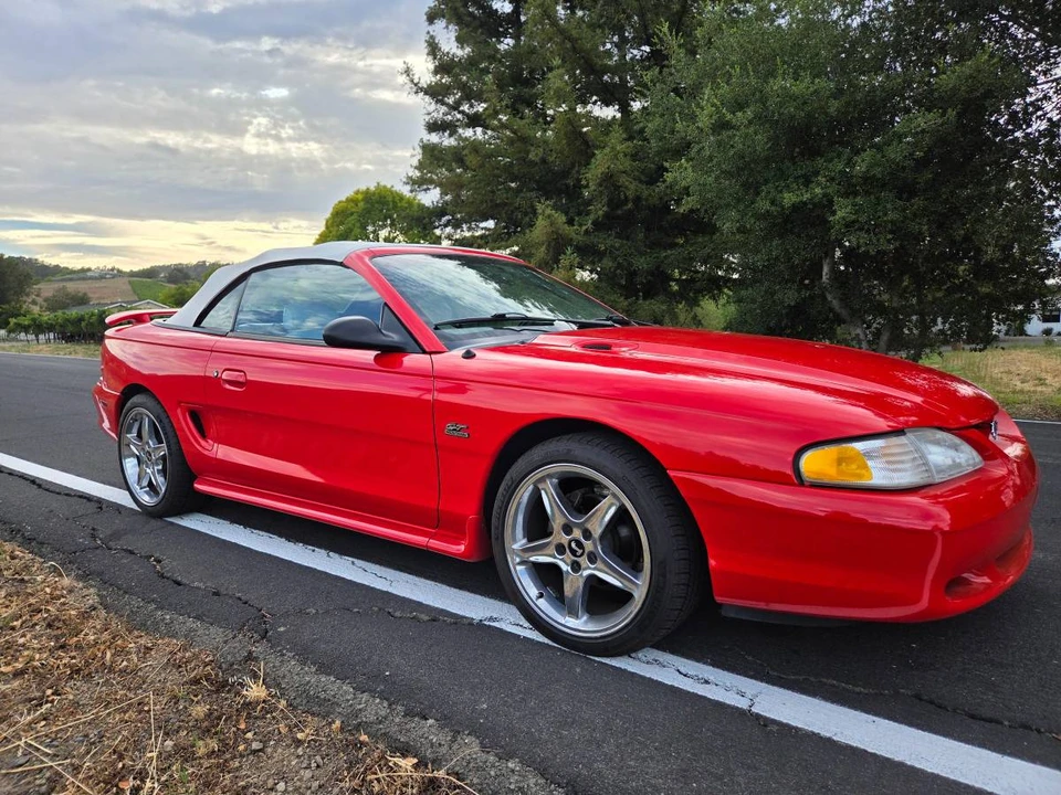 1995 Ford SN95 Mustang - Image 8 of 24