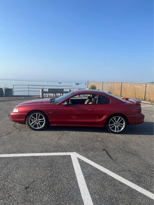 1995 Ford SN95 Mustang - Image 2 of 19