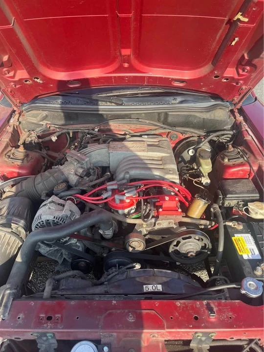 1995 Ford SN95 Mustang - Image 11 of 19