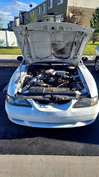 1995 Ford SN95 Mustang - Image 4 of 8