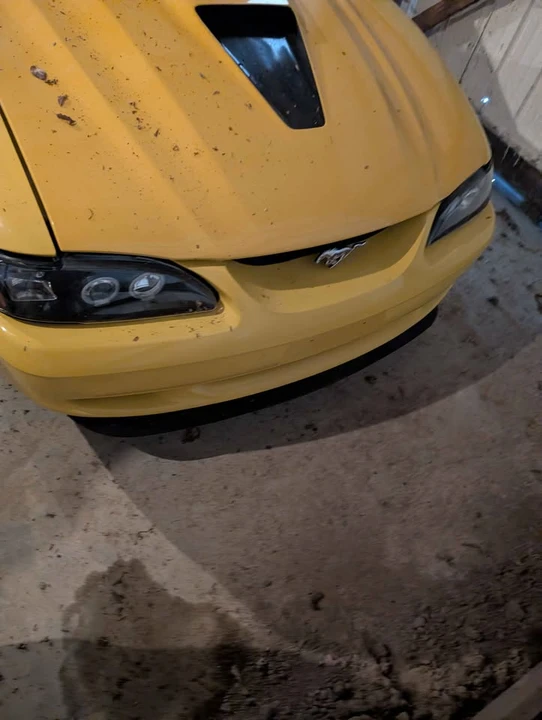 1995 Ford SN95 Mustang - Image 6 of 6
