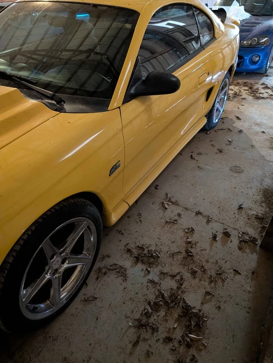 1995 Ford SN95 Mustang - Image 2 of 6